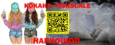 шишки Тулун