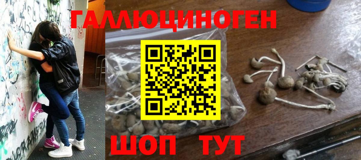 Галлюциногенные грибы Cubensis Новосибирск