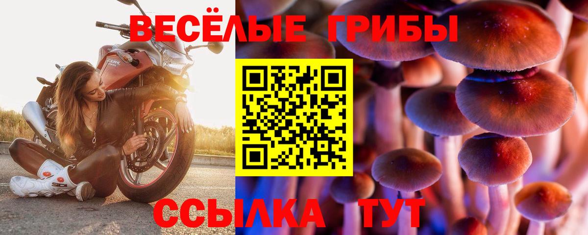 Галлюциногенные грибы Psilocybine cubensis  Псилоцибиновые грибы мухоморы  купить наркотик  Новосибирск  Вход с VPN 